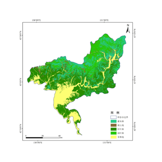 林業(yè)遙感